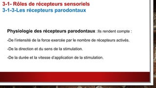 Physiologie des récepteurs parodontaux :Ils rendent compte :
-De l’intensité de la force exercée par le nombre de récepteurs activés.
-De la direction et du sens de la stimulation.
-De la durée et la vitesse d’application de la stimulation.
3-1- Rôles de récepteurs sensoriels
3-1-3-Les récepteurs parodontaux
 