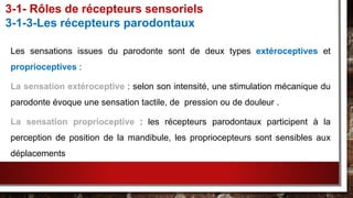 Les sensations issues du parodonte sont de deux types extéroceptives et
proprioceptives :
La sensation extéroceptive : selon son intensité, une stimulation mécanique du
parodonte évoque une sensation tactile, de pression ou de douleur .
La sensation proprioceptive : les récepteurs parodontaux participent à la
perception de position de la mandibule, les propriocepteurs sont sensibles aux
déplacements
3-1- Rôles de récepteurs sensoriels
3-1-3-Les récepteurs parodontaux
 