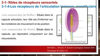 -Les corpuscules de Ruffini : Situés dans la
capsule articulaire, leur rôle est d’informer sur
les incitations de mouvement et de position.
-Les corpuscules de Pacini: Situés dans la
capsule, qui répondent uniquement sur des
mouvements.
3-1- Rôles de récepteurs sensoriels
3-1-4-Les récepteurs de l’articulation temporo- mandibulaire
DEVOIZE, L ; DALLEL, R. Examen neurologique orofacial. EMC -
Odontologie 2014;9(3):1-12.
 