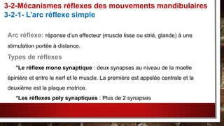 3-2-Mécanismes réflexes des mouvements mandibulaires
3-2-1- L’arc réflexe simple
Arc réflexe: réponse d’un effecteur (muscle lisse ou strié, glande) à une
stimulation portée à distance.
Types de réflexes
*Le réflexe mono synaptique : deux synapses au niveau de la moelle
épinière et entre le nerf et le muscle. La première est appelée centrale et la
deuxième est la plaque motrice.
*Les réflexes poly synaptiques : Plus de 2 synapses
 