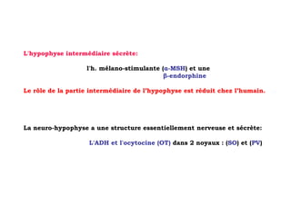 L'hypophyse intermédiaire sécrète:

                   l'h. mélano-stimulante (α-MSH) et une
                                           β-endorphine

Le rôle de la partie intermédiaire de l’hypophyse est réduit chez l’humain.




La neuro-hypophyse a une structure essentiellement nerveuse et sécrète:

                    L'ADH et l'ocytocine (OT) dans 2 noyaux : (SO) et (PV)
 