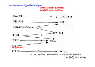 Les hormones hypothalamiques:
                          stimulantes= libérines
                          inhibitrices= statines




   (dopamine)
                         +
                         +
                  et des peptides dérivés de la pro-opiomélanocortine
                                                     (la   β-lipotropine)
 