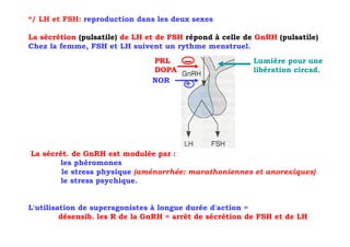 */ LH et FSH: reproduction dans les deux sexes

La sécrétion (pulsatile) de LH et de FSH répond à celle de GnRH (pulsatile)
Chez la femme, FSH et LH suivent un rythme menstruel.
                                PRL                       Lumière pour une
                                DOPA                      libération circad.
                                NOR
                                        +




La sécrét. de GnRH est modulée par :
       les phéromones
        le stress physique (aménorrhée: marathoniennes et anorexiques)
        le stress psychique.


L'utilisation de superagonistes à longue durée d'action =
         désensib. les R de la GnRH = arrêt de sécrétion de FSH et de LH
 