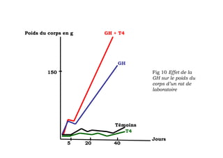 Poids du corps en g        GH + T4




                               GH
        150                             Fig 10 Effet de la
                                        GH sur le poids du
                                        corps d’un rat de
                                        laboratoire




                              Témoins
                                 T4
                                        Jours
                5     20      40
 