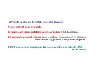 - Effets de la STH sur le métabolisme des glucides

Action anti-INS dans le muscle.

Favorise la glycolyse cellulaire au niveau du foie (effet diabétogène)

GH augmente pendant le jeûne (avec le cortisol, l'adrénaline et le glucagon)
                      maintien de la glycémie = adaptation au jeûne


L’IGF1 a une action insulinique dix fois plus faible que celle de l’INS
                                                             sur le muscle.
 
