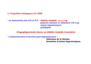 1/ Propriétés biologiques de l'ADH


- La destruction des S.0 et P.V = diabète insipide
                                  polyurie massive et définitive (15 L/j),
                                  urines hypotoniques
                                  polydipsie

         L'hypophysectomie donne un diabète insipide transitoire

- L'administration d'extraits post-hypophysaires =
                                       réduction de la diurèse
                                       formation d'urines hypertoniques.
 