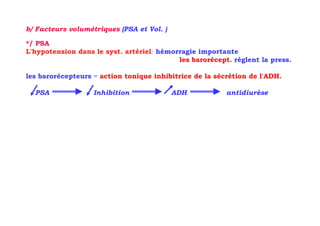 b/ Facteurs volumétriques (PSA et Vol. )

*/ PSA
L'hypotension dans le syst. artériel: hémorragie importante
                                           les barorécept. règlent la press.

les barorécepteurs = action tonique inhibitrice de la sécrétion de l'ADH.

  PSA              Inhibition              ADH           antidiurèse
 