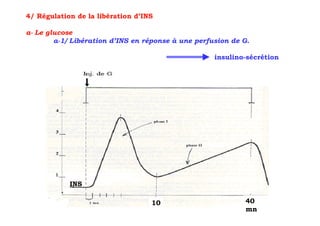 4/ Régulation de la libération d’INS

a- Le glucose
        a-1/ Libération d’INS en réponse à une perfusion de G.

                                                    insulino-sécrétion




            INS

                                   10                       40
                                                            mn
 