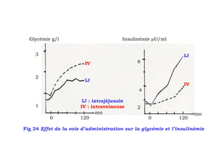 Glycémie g/l                          Insulinémie U/ml


    3                                                           IJ
                        IV                    8


    2
                        IJ
                                                                IV
                                              4

                       IJ : intrajéjunale
    1                 IV : intraveineuse      2
                             mn                                      mn
          0           120                         0           120

Fig 24 Effet de la voie d’administration sur la glycémie et l’insulinémie
 