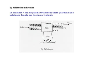 2/ Méthodes indirectes

La clairance = vol. de plasma totalement épuré (clarifié) d'une
substance donnée par le rein en 1 minute
 