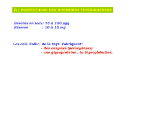 IV/ BIOSYNTHESE DES HORMONES THYROIDIENNES


Besoins en iode: 75 à 150 g/j
Réserve        : 10 à 15 mg



Les cell. Follic. de la thyr. Fabriquent:
                 - des enzymes (peroxydases)
                 - une glycoprotéine : la thyroglobuline.
 