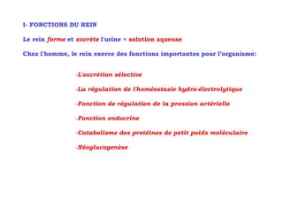 I- FONCTIONS DU REIN

Le rein forme et excrète l'urine = solution aqueuse

Chez l'homme, le rein exerce des fonctions importantes pour l’organisme:


                -L'excrétion sélective

                -La régulation de l'homéostasie hydro-électrolytique

                -Fonction de régulation de la pression artérielle
                 Fonction

                -Fonction endocrine

                -Catabolisme des protéines de petit poids moléculaire

                -Néoglucogenèse
 