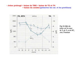 - Jeûne prolongé = baisse de TRH = baisse de T3 et T4
                 = baisse du catabol.(préserver les cal. et les protéines)



            T3, RT3                             T4




                                                            Fig 34 Effet du
                                                            jeûne sur les taux
                                                            de T3 de T4 et de RT3
                                                            chez l’humain
 