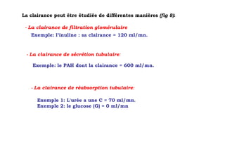 La clairance peut être étudiée de différentes manières (fig 8):

 - La clairance de filtration glomérulaire
   Exemple: l’inuline : sa clairance = 120 ml/mn.



 - La clairance de sécrétion tubulaire:

    Exemple: le PAH dont la clairance = 600 ml/mn.



   - La clairance de réabsorption tubulaire:

      Exemple 1: L'urée a une C = 70 ml/mn.
      Exemple 2: le glucose (G) = 0 ml/mn
 