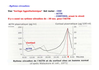 - Rythme circadien:

Une "horloge hypothalamique" fait varier - CRH
                                          - ACTH
                                          - CORTISOL avant le réveil
Il y a aussi un rythme ultradien de : 30 mn. pour l’ACTH




                Cortisol

               ACTH


                                                     6
 