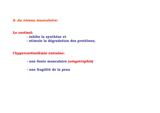 b- Au niveau musculaire:


Le cortisol:
        - inhibe la synthèse et
        - stimule la dégradation des protéines;


l'hypercortisolémie entraîne:

       - une fonte musculaire (amyotrophie)

       - une fragilité de la peau
 