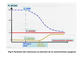 C. ml/mn
                C. PAH




                  C. Inuline



                 C. Glucose
                                              Concentration plasma.
               50 mg/L         1,8 g/L
               PAH             Glucose


Fig 8 Variation des clairances en fonction de la concentration sanguine
 