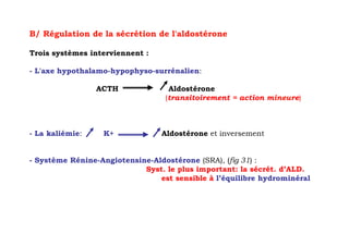 B/ Régulation de la sécrétion de l'aldostérone

Trois systèmes interviennent :

- L'axe hypothalamo-hypophyso-surrénalien:

                 ACTH              Aldostérone
                                  (transitoirement = action mineure)



- La kaliémie:    K+             Aldostérone et inversement


- Système Rénine-Angiotensine-Aldostérone (SRA), (fig 31) :
                            Syst. le plus important: la sécrét. d’ALD.
                                est sensible à l’équilibre hydrominéral
 
