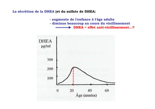 La sécrétion de la DHEA (et du sulfate de DHEA)

                    - augmente de l'enfance à l'âge adulte
                    - diminue beaucoup au cours du vieillissement
                                 DHEA = effet anti-vieillissement…?
 