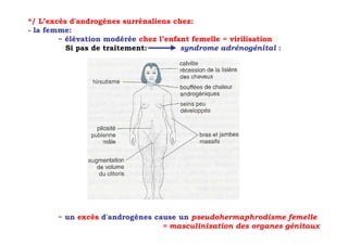 */ L’excès d'androgènes surrénaliens chez:
- la femme:
        ~ élévation modérée chez l’enfant femelle = virilisation
          Si pas de traitement:        syndrome adrénogénital :




       ~ un excès d'androgènes cause un pseudohermaphrodisme femelle
                                 = masculinisation des organes génitaux
 