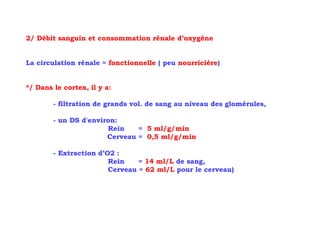 2/ Débit sanguin et consommation rénale d’oxygène


La circulation rénale = fonctionnelle ( peu nourricière)


*/ Dans le cortex, il y a:

        - filtration de grands vol. de sang au niveau des glomérules,

        - un DS d'environ:
                       Rein    = 5 ml/g/min
                       Cerveau = 0,5 ml/g/min

        - Extraction d’O2 :
                        Rein    = 14 ml/L de sang,
                        Cerveau = 62 ml/L pour le cerveau)
 