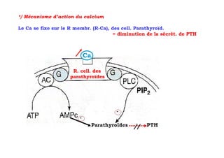 */ Mécanisme d’action du calcium

Le Ca se fixe sur le R membr. (R-Ca), des cell. Parathyroïd.
                                       = diminution de la sécrét. de PTH



                          Ca

                     R. cell. des
                    parathyroïdes
 