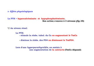 c- Effets physiologiques


La PTH = hypercalcémiante et hypophosphatémiante.
                              Son action s'exerce à 3 niveaux (fig 35):


*/ Au niveau rénal:

       La PTH:
          - stimule la réabs. tubul. du Ca en augmentant le TmCa

           - diminue la réabs. des PO4 en diminuant le TmPO4.


       Lors d'une hyperparathyroïdie, on assiste à
                    une augmentation de la calciurie (TmCa dépassé)
 