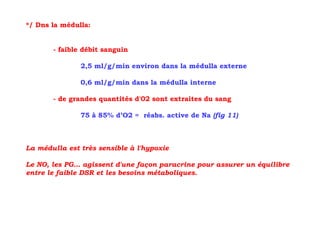 */ Dns la médulla:


       - faible débit sanguin

               2,5 ml/g/min environ dans la médulla externe

               0,6 ml/g/min dans la médulla interne

       - de grandes quantités d'02 sont extraites du sang

               75 à 85% d’O2 = réabs. active de Na (fig 11)



La médulla est très sensible à l'hypoxie

Le NO, les PG… agissent d'une façon paracrine pour assurer un équilibre
entre le faible DSR et les besoins métaboliques.
 