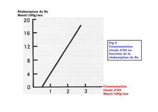 Réabsorption de Na
Mmol/100g/mn




                       Fig 9
                       Consommation
                       rénale d’O2 en
                       fonction de la
                       réabsorption de Na




                     Consommation
                     rénale d’O2
                     Mmol/100g/mn
 