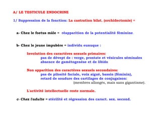 A/ LE TESTICULE ENDOCRINE

1/ Suppression de la fonction: La castration bilat. (orchidectomie) =


 a- Chez le foetus mâle = réapparition de la potentialité féminine.


 b- Chez le jeune impubère = individu eunuque :

       Involution des caractères sexuels primaires:
               pas de dévept de : verge, prostate et vésicules séminales
               absence de gamétogenèse et de libido

       Non apparition des caractères sexuels secondaires:
              pas de pilosité faciale, voix aiguë, bassin (féminin),
              retard de soudure des cartilages de conjugaison:
                                 (membres allongés, mais sans gigantisme).

       L'activité intellectuelle reste normale.

 c- Chez l'adulte = stérilité et régression des caract. sex. second.
 