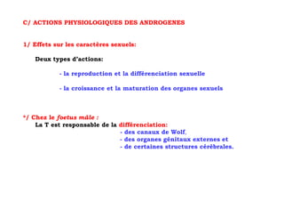C/ ACTIONS PHYSIOLOGIQUES DES ANDROGENES


1/ Effets sur les caractères sexuels:

   Deux types d’actions:

           - la reproduction et la différenciation sexuelle

           - la croissance et la maturation des organes sexuels



*/ Chez le foetus mâle :
    La T est responsable de la différenciation:
                               - des canaux de Wolf,
                               - des organes génitaux externes et
                               - de certaines structures cérébrales.
 