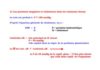 3/ Les pressions sanguines et résistances dans les vaisseaux rénaux

Le rein est perfusé à P      ≈ 100 mmHg.
D’après l'équation générale de résistance, on a :

                DSR = P                      P = pression hydrostatique
                      R                      R = résistance


l’artériole aff. = site principal de R vascul.
                   P = 45 mmHg
                   rôle capital dans la régul. de la perfusion glomérulaire

Le   Ø de l'art. eff. <   l'artériole aff.

                     la P de 45 mmHg ds le capill. glom. = 5 fois plus élevée
                                     que celle dans capill. de l’organisme
 