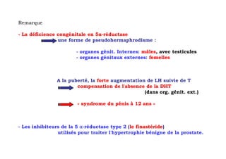 Remarque

- La déficience congénitale en 5α-réductase
                une forme de pseudohermaphrodisme :

                       - organes génit. Internes: mâles, avec testicules
                       - organes génitaux externes: femelles



               A la puberté, la forte augmentation de LH suivie de T
                       compensation de l'absence de la DHT
                                                  (dans org. génit. ext.)

                        « syndrome du pénis à 12 ans »



- Les inhibiteurs de la 5 α-réductase type 2 (le finastéride)
                utilisés pour traiter l'hypertrophie bénigne de la prostate.
 