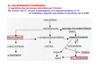 B/ LES HORMONES OVARIENNES
1/ synthèse des hormones stéroïdes par l’ovaire
                                         ∆
On trouve: E2, P, un peu d'androgènes (∆4-androstènedione et T)
                   et l’inhibine, peptide qui inhibe la sécrétion de la FSH.
 