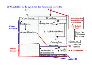 2/ Régulation de la synthèse des hormones stéroïdes




 Phase
 Follicul.




  Phase
  lutéale



                                                      LH
 