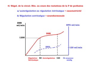 4/ Régul. de la circul. Rén. au cours des variations de la P de perfusion

         a/ autorégulation ou régulation intrinsèque = vasomotricité

         b/ Régulation extrinsèque = neurohormonale


        DSR
        ml/min                                           DFG ml/min



                                     DSR
           1200



                                    DFG                     120 ml/min




                   Régulation 80 Autorégulation 160   PA moyenne
                   Extrinsèque                            mmHg
 