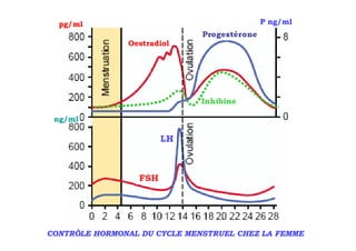 pg/ml                                  P ng/ml

               Oestradiol




 ng/ml




CONTRÔLE HORMONAL DU CYCLE MENSTRUEL CHEZ LA FEMME
 