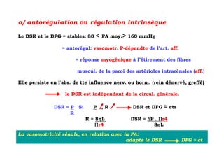 a/ autorégulation ou régulation intrinsèque

Le DSR et le DFG = stables: 80   <   PA moy.> 160 mmHg

                  = autorégul: vasomotr. P-dépendte de l’art. aff.

                        = réponse myogénique à l’étirement des fibres

                        muscul. de la paroi des artérioles intrarénales (aff.)

Elle persiste en l'abs. de tte influence nerv. ou horm. (rein dénervé, greffé)

                   le DSR est indépendant de la circul. générale.

               DSR = P Si      P     ,R         DSR et DFG   ≈ cts
                     R
                            R = 8ηL            DSR = ∆P . Πr4
                                Πr4                    8ηL

La vasomotricité rénale, en relation avec la PA:
                                           adapte le DSR             DFG ≈ ct
 