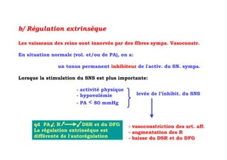 b/ Régulation extrinsèque

Les vaisseaux des reins sont innervés par des fibres sympa. Vasoconstr.

En situation normale (vol. et/ou de PA), on a:

               un tonus permanent inhibiteur de l'activ. du SN. sympa.

Lorsque la stimulation du SNS est plus importante:

                       - activité physique
                       - hypovolémie             levée de l’inhibit. du SNS
                       - PA   < 80 mmHg


      qd PA , R           DSR et du DFG      - vasoconstriction des art. aff.
      La régulation extrinsèque est          - augmentation des R
      différente de l'autorégulation         - baisse du DSR et du DFG
 