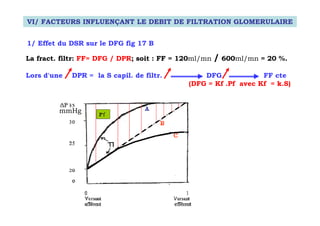 VI/ FACTEURS INFLUENÇANT LE DEBIT DE FILTRATION GLOMERULAIRE


1/ Effet du DSR sur le DFG fig 17 B

La fract. filtr: FF= DFG / DPR; soit : FF = 120ml/mn   / 600ml/mn = 20 %.
Lors d'une   DPR = la S capil. de filtr.         DFG             FF cte
                                             (DFG = Kf .Pf avec Kf = k.S)


         mmHg
 