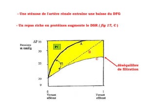 - Une sténose de l'artère rénale entraîne une baisse du DFG


- Un repas riche en protéines augmente le DSR ( fig 17, C )




                                                          déséquilibre
                                                          de filtration
 