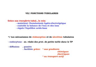 VII/ FONCTIONS TUBULAIRES


Grâce aux transferts tubul., le rein:
       - maintient l'homéostasie hydro-électrolytique
       - contrôle la balance de l’eau et des ions
       - régule l’équilibre acide-base



*/ Les mécanismes de réabsorption et de sécrétion tubulaires

- endocytose: ex. réabs des prot. de petite taille dans le TP

- diffusion:   . passive
               . facilitée grâce:   * aux gradients
                                                  chimiques
                                                  électriques
                                    * au transport actif
 