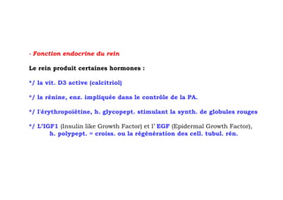 - Fonction endocrine du rein

Le rein produit certaines hormones :

*/ la vit. D3 active (calcitriol)

*/ la rénine, enz. impliquée dans le contrôle de la PA.

*/ l'érythropoïétine, h. glycopept. stimulant la synth. de globules rouges

*/ L’IGF1 (Insulin like Growth Factor) et l’ EGF (Epidermal Growth Factor),
       h. polypept. = croiss. ou la régénération des cell. tubul. rén.
 
