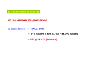 1/ TRANSFERTS DE SODIUM



a/ au niveau du glomérule


La masse filtrée   =   [PNa] . DFG

                   = 140 mmol/L x 120 ml/mn ≈ 25.000 mmol/j

                   ≈ 550 g/24 h.   >   [Natrémie]
 