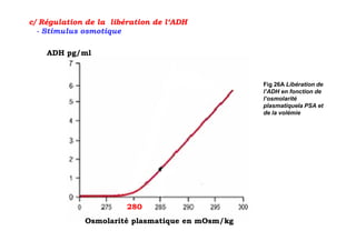 c/ Régulation de la libération de l‘ADH
  - Stimulus osmotique

    ADH pg/ml



                                                 Fig 26A Libération de
                                                 l’ADH en fonction de
                                                 l’osmolarité
                                                 plasmatiquela PSA et
                                                 de la volémie




                        280
             Osmolarité plasmatique en mOsm/kg
 