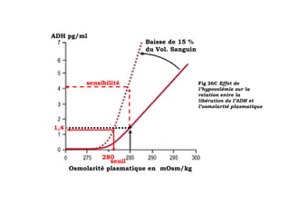 ADH pg/ml
                          Baisse de 15 %
                          du Vol. Sanguin




          sensibilité                       Fig 26C Effet de
                                            l’hypovolémie sur la
                                            relation entre la
                                            libération de l’ADH et
                                            l’osmolarité plasmatique



1,4



               280
                  seuil
      Osmolarité plasmatique en mOsm/kg
 