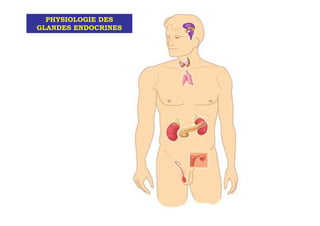 PHYSIOLOGIE DES
GLANDES ENDOCRINES
 