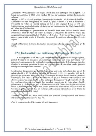 Manipulations : Métabolisme azoté
TP Physiologie des stress Boucelha L. et Djebbar R. (2020)
20
Extraction : 100 mg de feu...