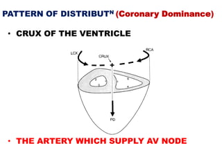 PATTERN OF DISTRIBUTN (Coronary Dominance)

 • CRUX OF THE VENTRICLE




 • THE ARTERY WHICH SUPPLY AV NODE
 
