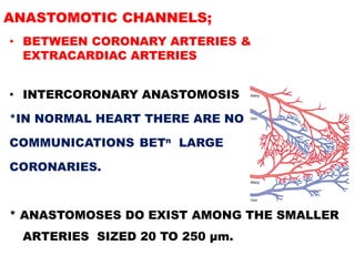 ANASTOMOTIC CHANNELS;
• BETWEEN CORONARY ARTERIES &
  EXTRACARDIAC ARTERIES


• INTERCORONARY ANASTOMOSIS

*IN NORMAL HEART THERE ARE NO

COMMUNICATIONS BETn LARGE

CORONARIES.



* ANASTOMOSES DO EXIST AMONG THE SMALLER
 ARTERIES SIZED 20 TO 250 μm.
 